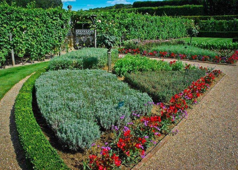 Jardin des simples