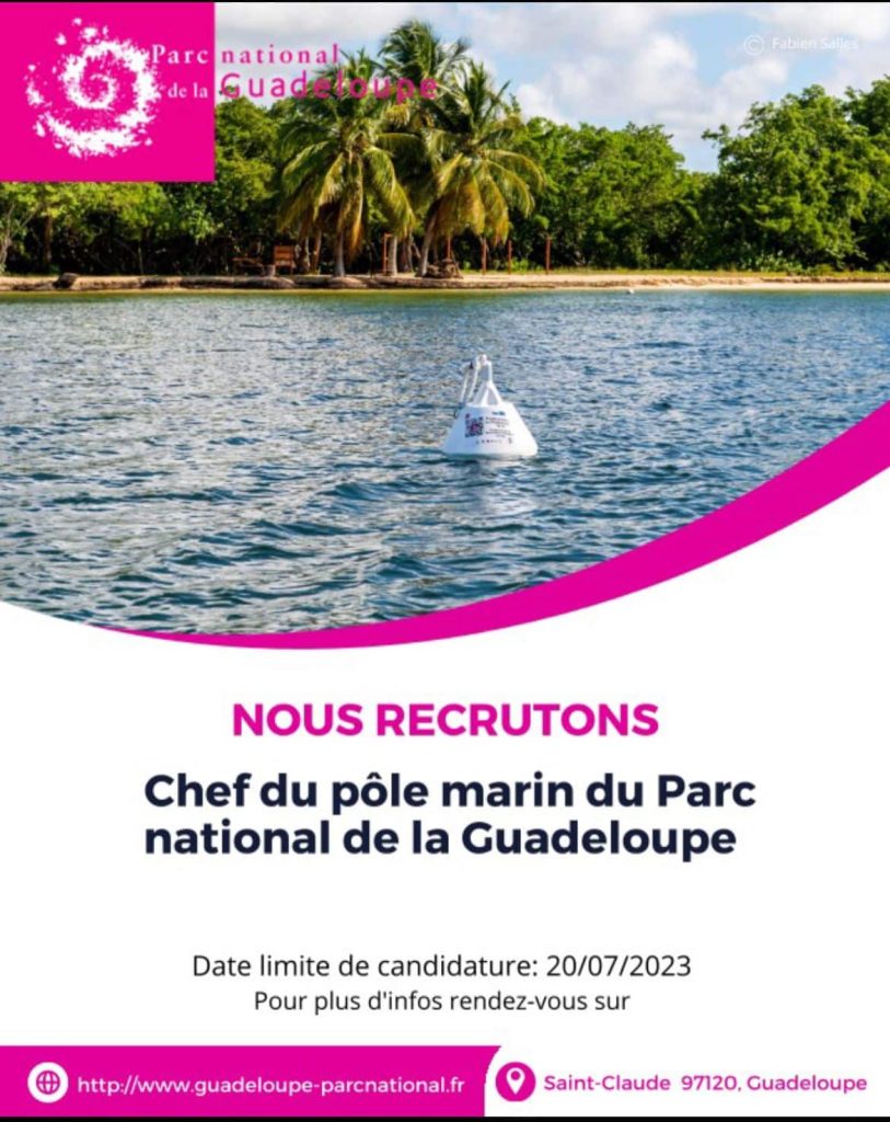 offre d'emploi en guadeloupe