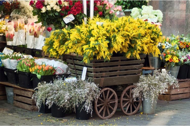 marché aux fleurs san remo