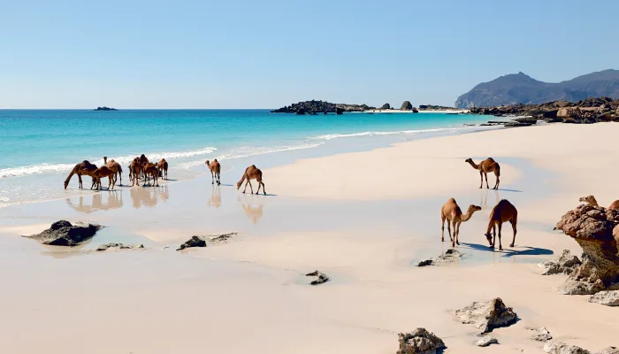 oman