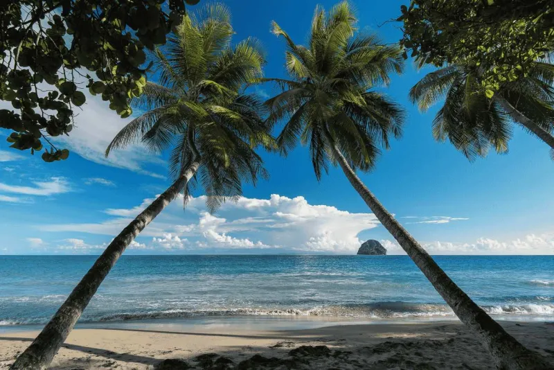 plage de martinique